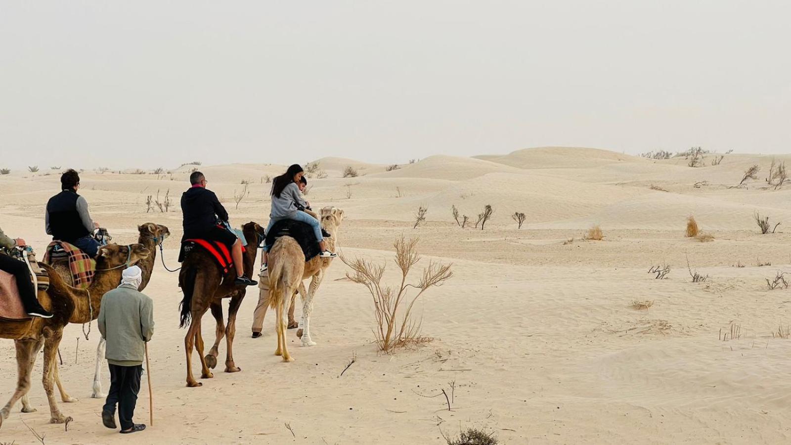 Luxury Camp Dunes Insolites Sabria Exterior photo