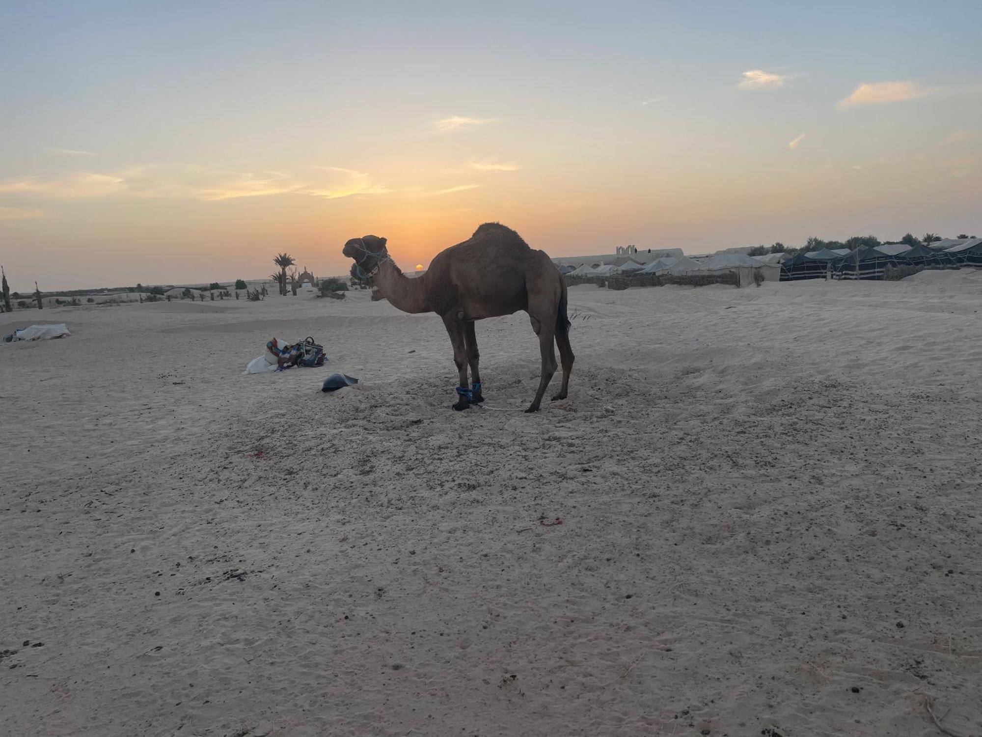 Luxury Camp Dunes Insolites Sabria Exterior photo
